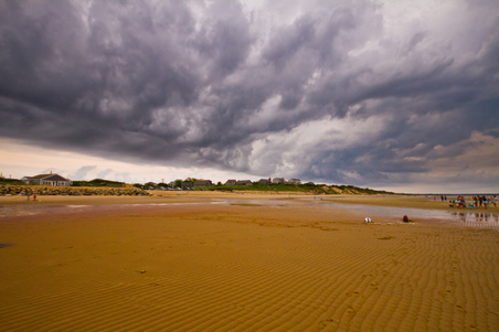 Enlarge photo 64
