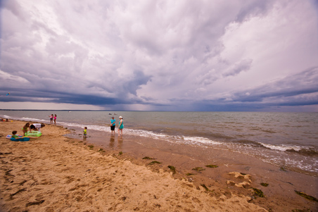 Enlarge photo 78