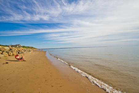 Enlarge photo 48