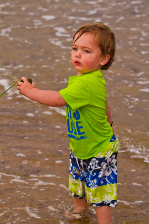 Enlarge photo 81