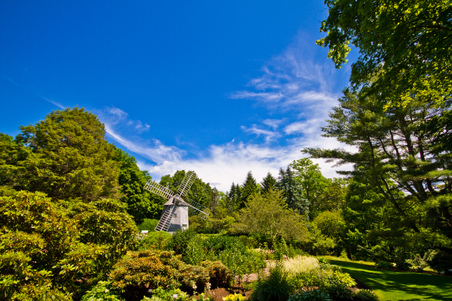 Enlarge photo 102