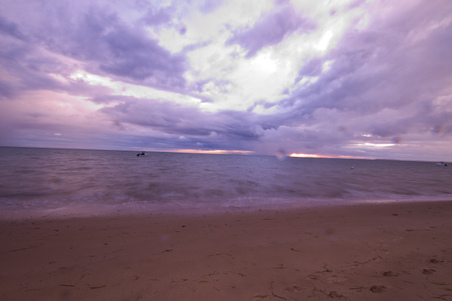Enlarge photo 85