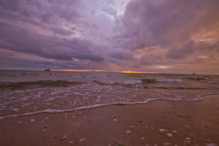 Enlarge photo 87