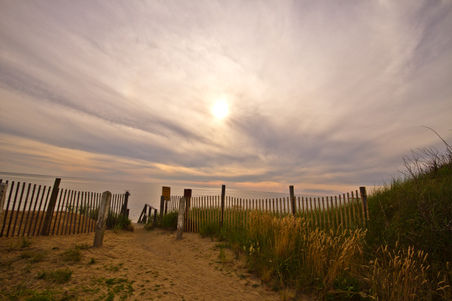 Enlarge photo 53