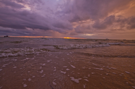Enlarge photo 88