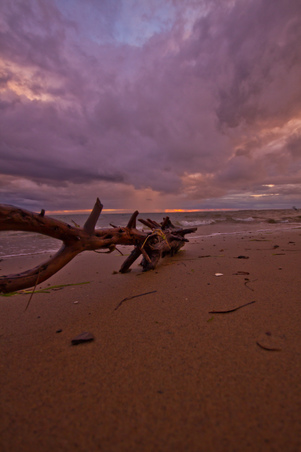 Enlarge photo 89