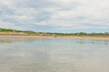 Enlarge photo 218