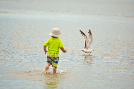 Enlarge photo 222
