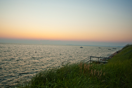 Enlarge photo 303