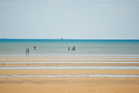 Enlarge photo 238