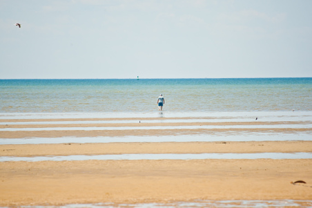 Enlarge photo 239