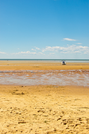 Enlarge photo 240