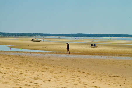 Enlarge photo 249