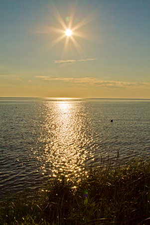 Enlarge photo 251