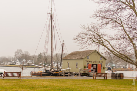 Enlarge photo 23