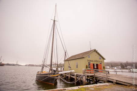 Enlarge photo 171