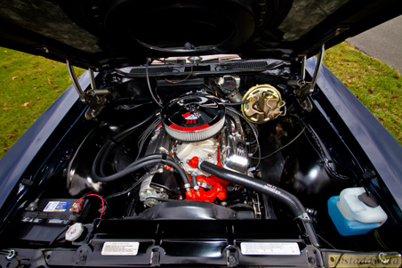 Enlarge photo 38