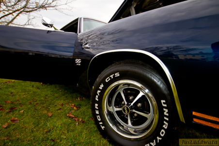 Enlarge photo 98