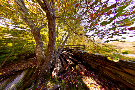 Enlarge photo 14