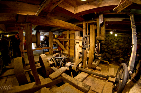Enlarge photo 64