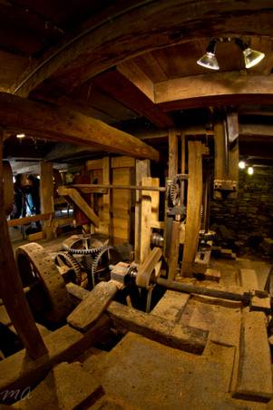 Enlarge photo 66