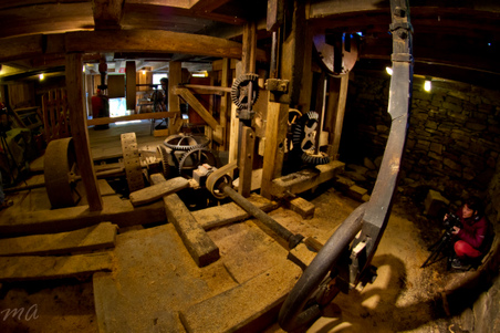 Enlarge photo 67
