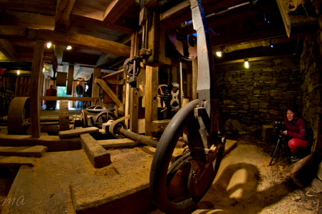 Enlarge photo 68
