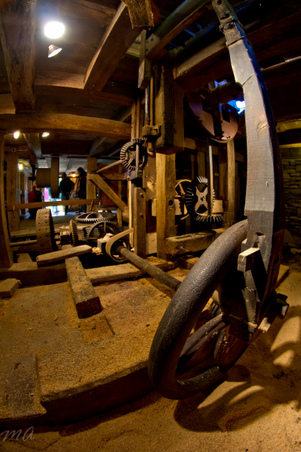 Enlarge photo 73
