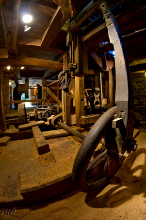 Enlarge photo 74