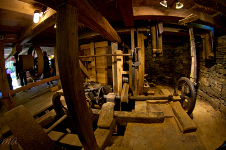 Enlarge photo 75