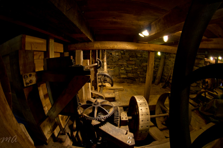 Enlarge photo 76