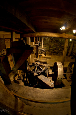 Enlarge photo 77