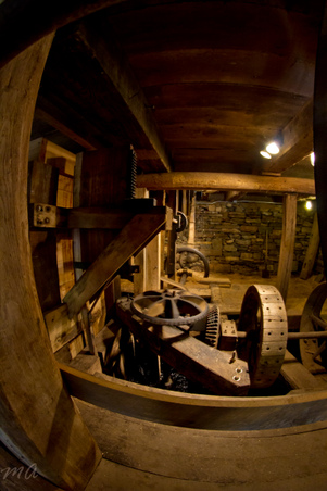 Enlarge photo 82