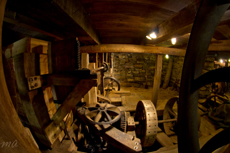 Enlarge photo 84