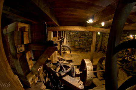 Enlarge photo 87