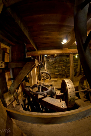 Enlarge photo 89