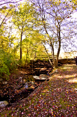 Enlarge photo 92