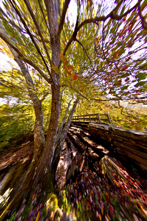Enlarge photo 94