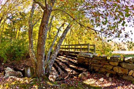 Enlarge photo 95