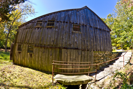 Enlarge photo 96