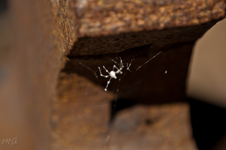 Enlarge photo 103