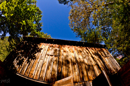 Enlarge photo 106
