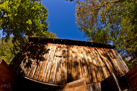 Enlarge photo 107