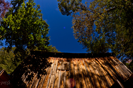 Enlarge photo 109