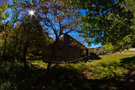Enlarge photo 135
