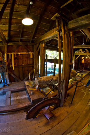 Enlarge photo 146