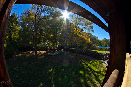 Enlarge photo 177