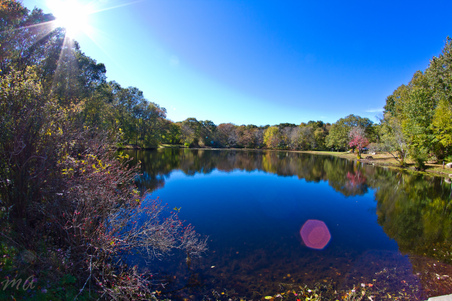 Enlarge photo 180