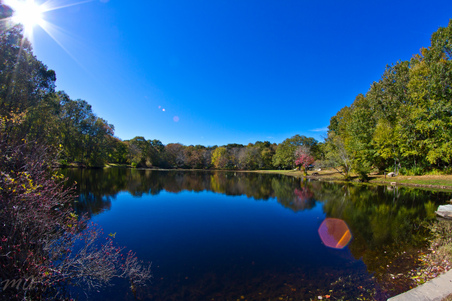 Enlarge photo 181