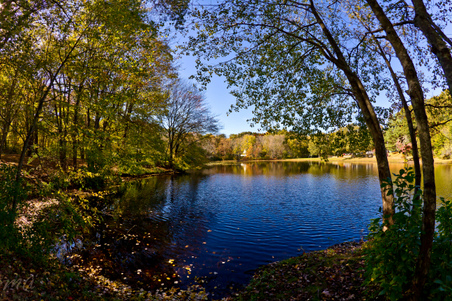 Enlarge photo 197